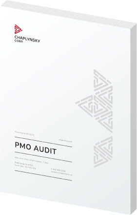 PMO AUDIT IMAGE